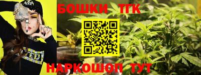спиды Обь