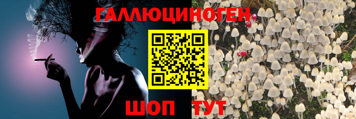 Троицк  Галлюциногенные грибы Cubensis  Вход с VPN  Галлюциногенные грибы ЛСД 
